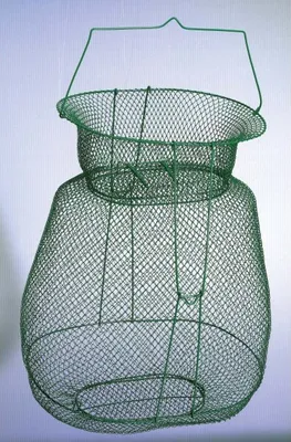 Immagine prodotto di Cablaggio Saenger