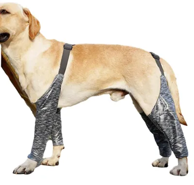 Productafbeelding van Waterdichte Herstelbandage voor Honden
