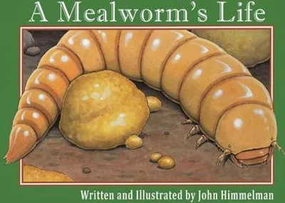 Produktbild von A Mealworm's Life