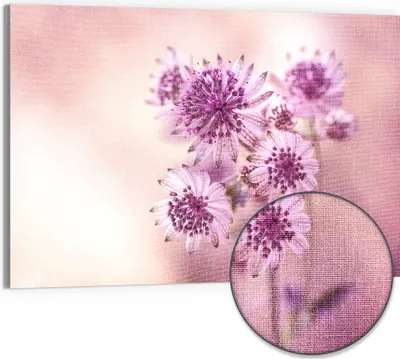 Produktbild von DEQORI Hybrid Leinwand Bild 90x60 cm 'Lila Sterndolden' Wandbild Glas flach modern