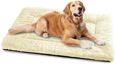 Immagine prodotto di Letto morbido per cani 122x75 cm, lavabile, beige, grande