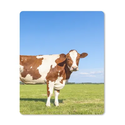 Produktbild von MuchoWow® Mauspad Mousepad Kühe - Bauernhof - Gras - Natur - Tiere 30x40 cm - Mousepads - Maus Mat - Pad - Mausunterlage - Mausmatten