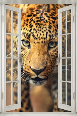 Produktbild von Wallario Poster mit Fenster-Illusion: Leopard in Nahaufnahme beim Laufen, Größe: 61 x 91,5 cm (Maxiposter)