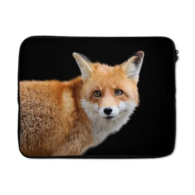 Produktbild von MuchoWow® Laptop Hülle 17 Zoll Laptoptasche Fuchs - Tier - Porträt - Zipper - Schutzabdeckung