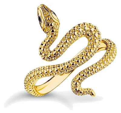 Obrázek produktu pro Thomas Sabo  TR2483-427-39-48