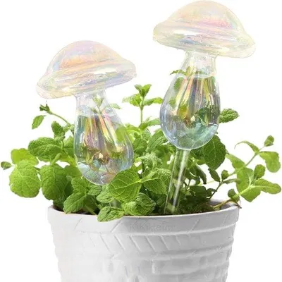 Produktbild von Famanu Bewässerungsballen aus Glas - 2 kristallene Pilze
