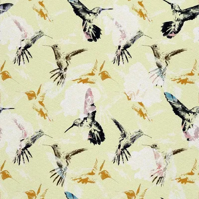 Produktbild von OUTDOOR DEKOSTOFFE OXFORD - Motiv Aquarellkolibri 2 I DX583