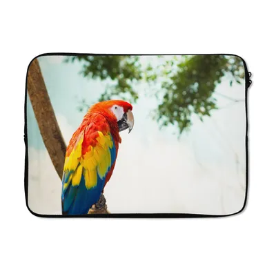 Produktbild von MuchoWow® Laptop Hülle 13 Zoll Papagei - Vogel - Regenbogen - Tropisch Laptoptasche - Laptophülle - Sleeve - Rundumschutz