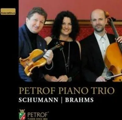 Image de Trios avec piano