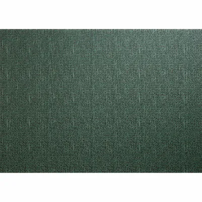 Obrázok produktu pre ASA Selection, podložky pod taniere z PVC, tkané, zelené, 46 × 33 cm