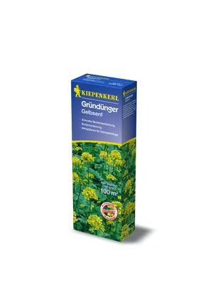 Produktbild von Kiepenkerl Gründünger Gelbsenf Sinapis alba, Inhalt: 500 g