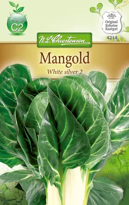 Produktbild von Mangold White Silver 2 | Mangoldsamen von N.L. Chrestensen
