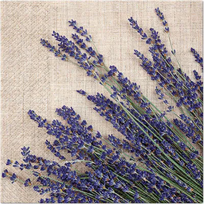 Image de 20 serviettes en papier 33 x 33 cm Lavande