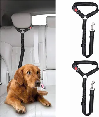 Produktbild von Verstellbare Autogurte für Hunde - Gepolsterter Sicherheitsgurt und elastisches Nylonband