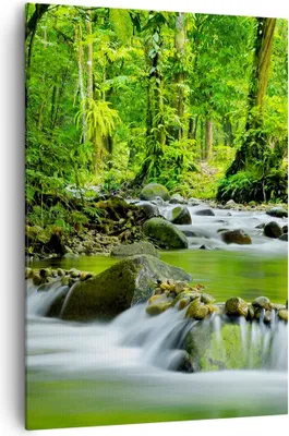 Produktbild von Bild auf Leinwand - Leinwandbild - Einteilig - Stream Wald Natur - 70x100cm - Wand Bild - Wanddeko - Wandbilder - Leinwanddruck - Wanddekoration - Leinwand bilder - Wandbild - PA70x100-0174