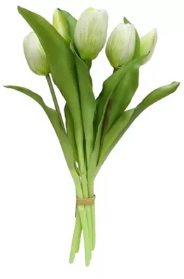 Produktbild von Tulpen künstlich 30cm Tulpenbündel mit 5Tulpen Real Touch creme Tulpenstrauß