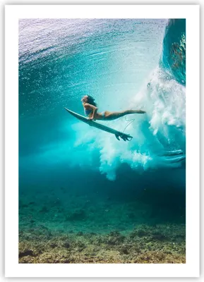 Produktbild von Poster - Poster ohne Rahmen - Surfen Unterwasser Frau - 50x70 cm - Wand Bild - Wanddeko - Wandbilder - Kunstposter - Wandposter - Bilder - Kunstdruck - Wanddekoration - Wandbild - P2XPA50x70-4898
