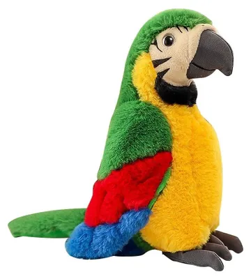 Image de Peluche perroquet