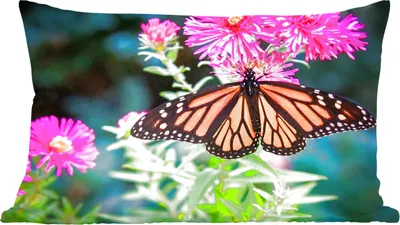 Produktbild von MuchoWow® Zierkissen Sofakissen Wohnzimmer Dekokissen 60x40 cm Schmetterling - Botanisch - Blume - Kopfkissen - Polster mit Foto