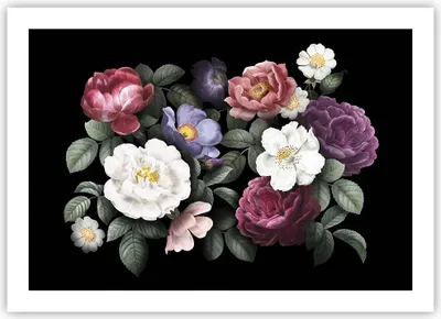 Produktbild von Poster - Poster ohne Rahmen - Blumen Blumenstrauß Komposition - 70x50 cm - Wand Bild - Wanddeko - Wandbilder - Kunstposter - Wandposter - Bilder - Kunstdruck - Wanddekoration - P2XAA70x50-5032