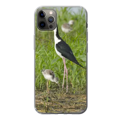 Produktbild von MuchoWow® Handyhülle Schutzhülle Hülle für iPhone 12 Pro Max Vogel - Gras - Küken - Sumpf Silikon Softcase Handy Hülle - Hartschale