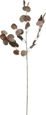Produktbild von Mica Decorations Kunstpflanze Eukalyptuszweig 73 cm braun
