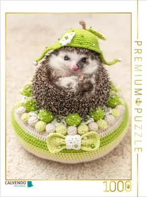 Produktbild von CALVENDO Puzzle Igeltorte | 1000 Teile Lege-Größe 64x48cm Foto-Puzzle für glückliche Stunden