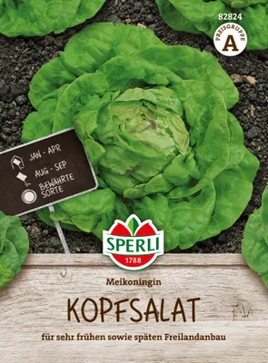 Produktbild von SPERLI Salatsamen Meikoningin Lactuca sativa 150 Pflanzen