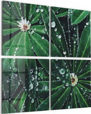 Produktbild von DEQORI Glasbild Echtglas 4x50x50 cm 'Wasserperlenverzierung' Wandbilder XXL groß