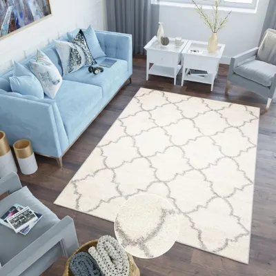 Produktbild von Teppich Wohnzimmer Schlafzimmer Shaggy Hochflor Langflor Creme Grau 60 x 100 cm