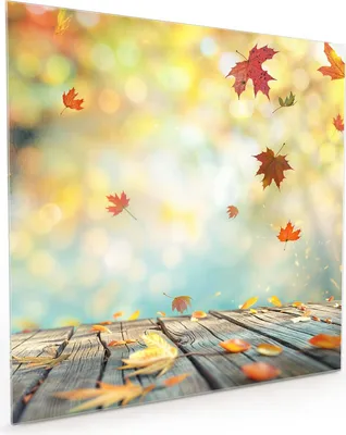 Produktbild von Küchenrückwand Spritzschutz Glas mit Motiv Herbstlaub Wald 40 x 40 cm