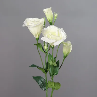 Produktbild von Kunstblume Lysianthus 68 cm cream