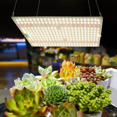 Produktbild von 65W Pflanzenlampe Led Vollspektrum, 225 Leds Panel Grow Light UV Lampe Pflanzen Anzuchtlampe Pflanzenlicht Wachstumslampe Für Blüte Gemüse Anzucht