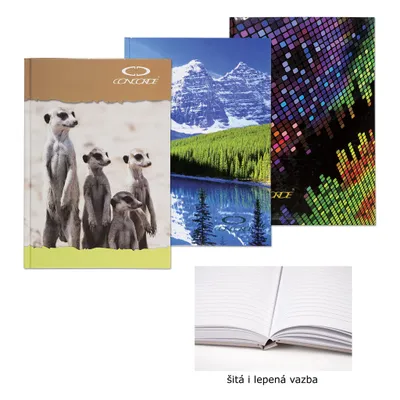 Image de Carnet Concorde - A4 / ligne / 100 feuilles