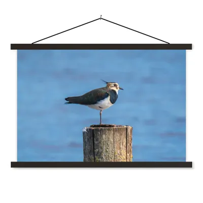 Produktbild von MuchoWow® Textilposter Vogel - Tiere - Pfahl - Blau - Kiebitz 120x80 cm mit schwarzem Rahmen - Wanddeko
