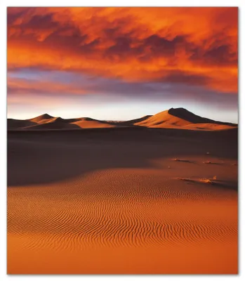Produktbild von Wallario Herdabdeckplatte aus Glas, Größe 52 x 60 cm 1-teilig, Motiv Sahara Wüste II - Sanddünen im Sonnenuntergang
