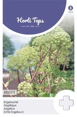 Produktbild von Horti Tops Engelwurz Kräutersamen - 1 Saatgutbeutel