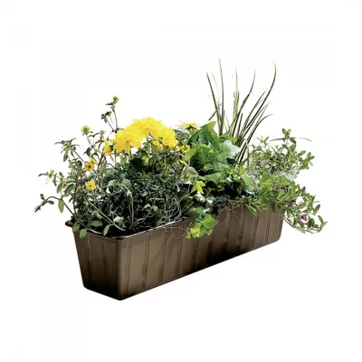 Produktbild von Original Super Blumenkasten 60cm  braun