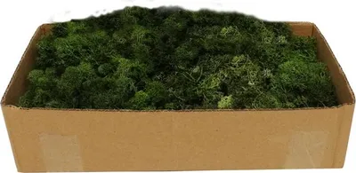 Produktbild von My village Rentiermoos dunkelgrün 500g für natürliche Weihnachtsdorf-Akzente