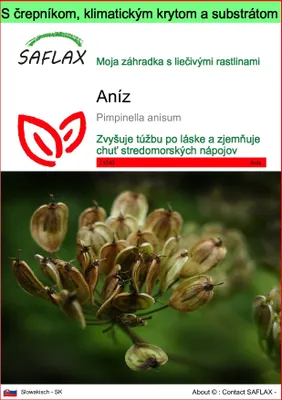 Obrázok produktu pre SAFLAX Garden to go - aníz - Pimpinella anisum - 200 Semená - S črepníkom, klimatickým vekom a pestovateľským substrátom