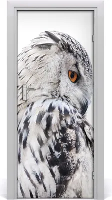 Produktbild von Tulup Türaufkleber 85x205 cm Dekorative Aufkleber Selbstklebend Wasserdichte Tapete Abnehmbar Schlafzimmer Wohnzimmer Wohnkultur - Eule weiße Wand