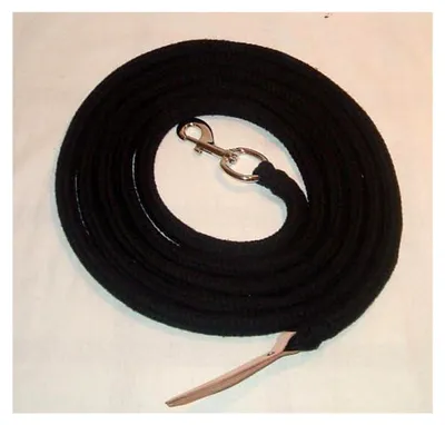 Produktbild von Bodenleine 4 Meter schwarz Baumwolle mit Boltsnap und Lederklatsche