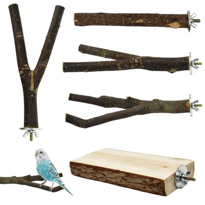Productafbeelding van 5 natuurlijke zitstokken voor vogels, gemaakt van natuurlijk hout, geschikt voor parkieten en kanaries