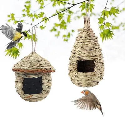 Image de Nichoirs à oiseaux à suspendre à l'extérieur - Lot de 2