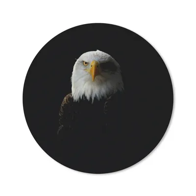 Produktbild von MuchoWow® Mauspad Mousepad Adler - Vogel - Schwarz 20x20 cm - Mousepads - Maus Mat - Pad - Mausunterlage - Schreibtischmatte