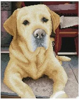 Image de DIAMOND DOTZ - Peinture au diamant du Labrador