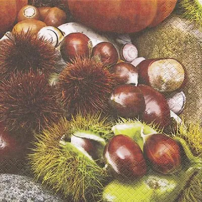 Obrázok produktu pre 20 obrúskov gaštan - gaštan 33x33cm