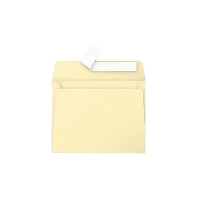Image de Clairefontaine Enveloppes Pollen 20 pièces chamois 90x140 mm 120g