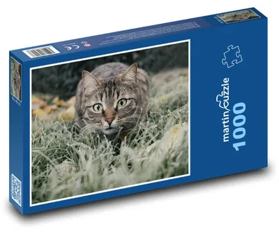 Zdjęcie produktu dla Puzzle 1000 Kot w trawie - martinpuzzle