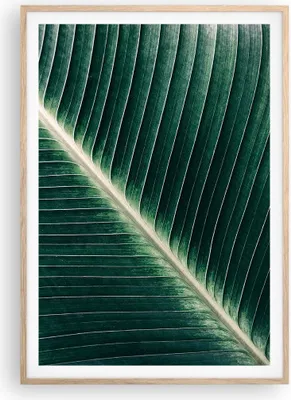 Produktbild von Gerahmtes Poster - Rahmen in heller Eiche - Grün Blatt Tropisch - 70x100 cm - Wand Bild - Wanddeko - Wandbilder - Wandposter - Bilderrahmen - Bilder - Kunstdruck - Wandbild - P2NPA70x100-4126